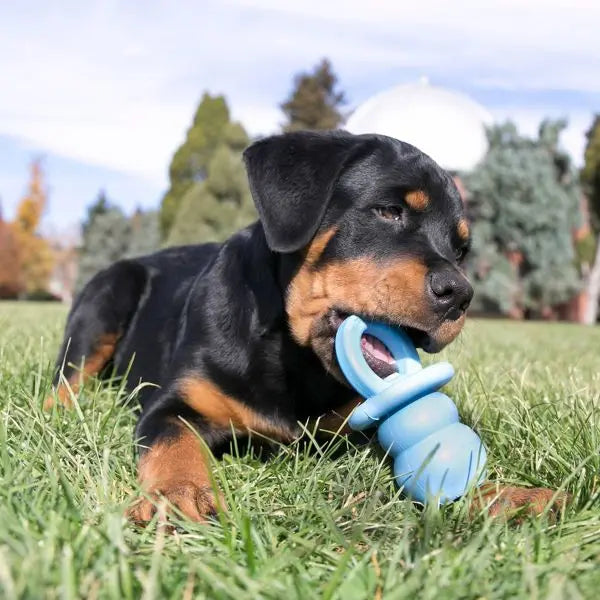 Puppy Binkie Dog Toy - S