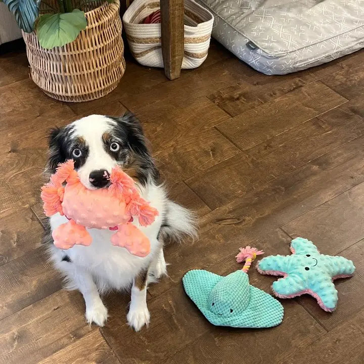 6.75" Crab Rope Plush Dog Toy