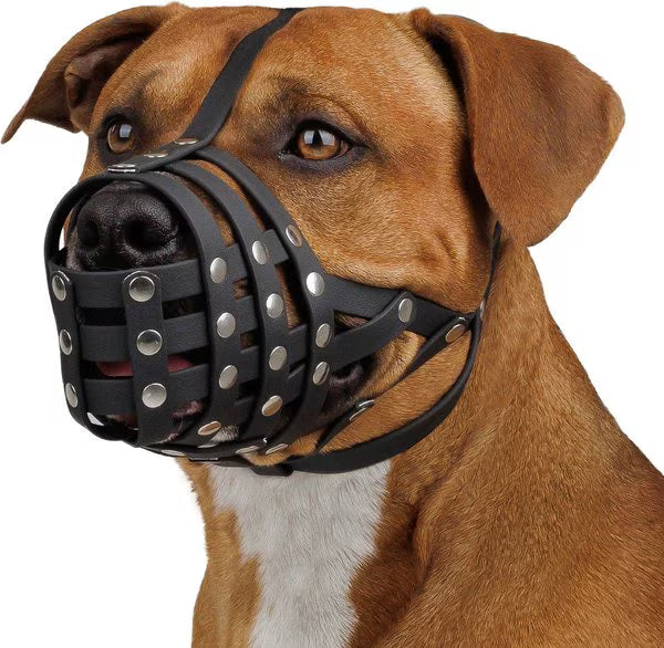 Dog Muzzle