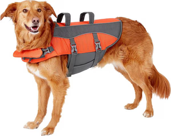 Life Jacket