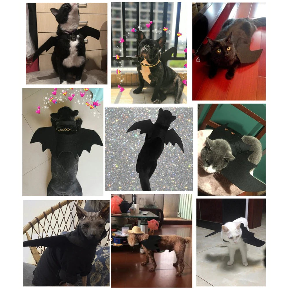 1Pcs Halloween Funny Pet Clothes with Bells Black Bat Wings Harness Costume Cosplay Cats Dogs Halloween Party Cute Pet Supplies