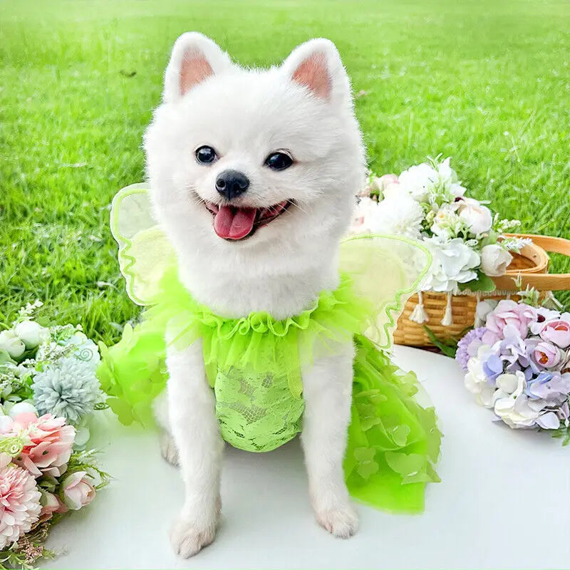 Pet Wedding Princess Butterfly Clothes Dog Dress Cat Skirt Gown Skirt Supplies Princess Dresses for Small Dogs Cat Costume