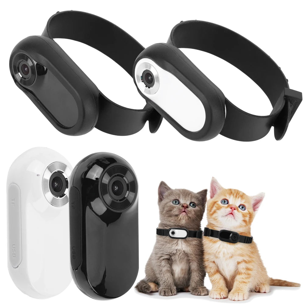 HD 1080P Wireless Collar Camera No WiFi Needed Dog Cat Pet Camera Collar Mini Body Cam Video Records with 32G Card Pet Supplies