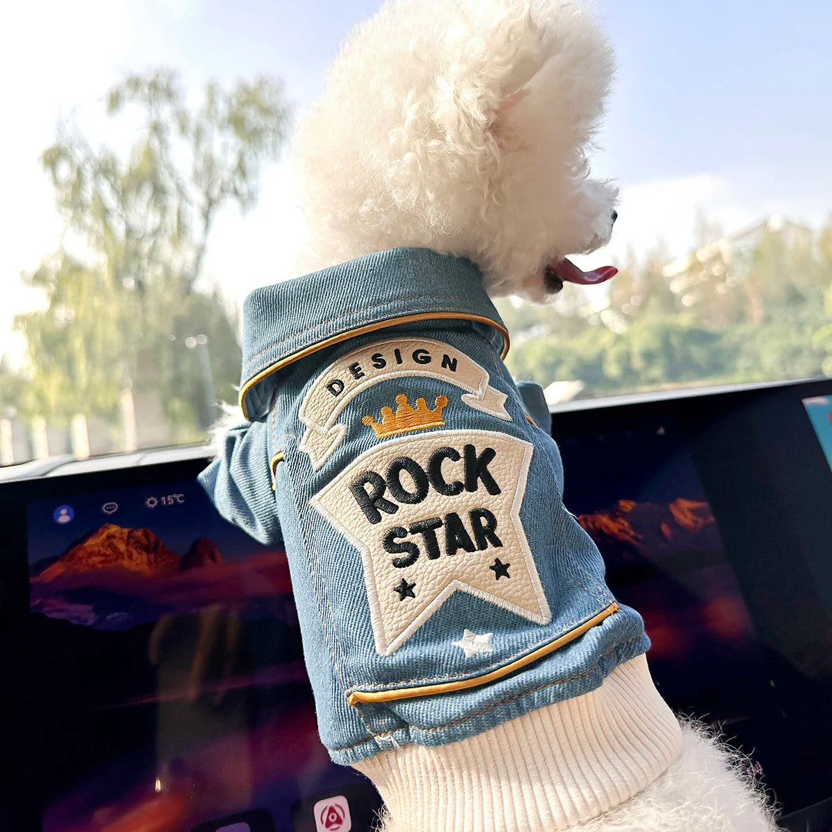 Rock Embroidery Blue Jacket Pet Clothes Dog Cat Spring Handsome Out Traction Clothes