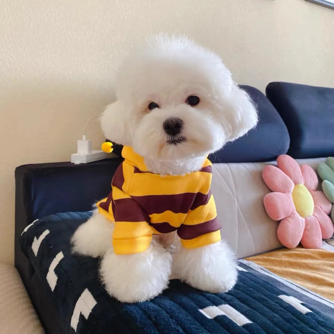 Dog bee modification set Schnauzer Clothes onesie Plush puppy kitten hood Fall/Winter 1 piece