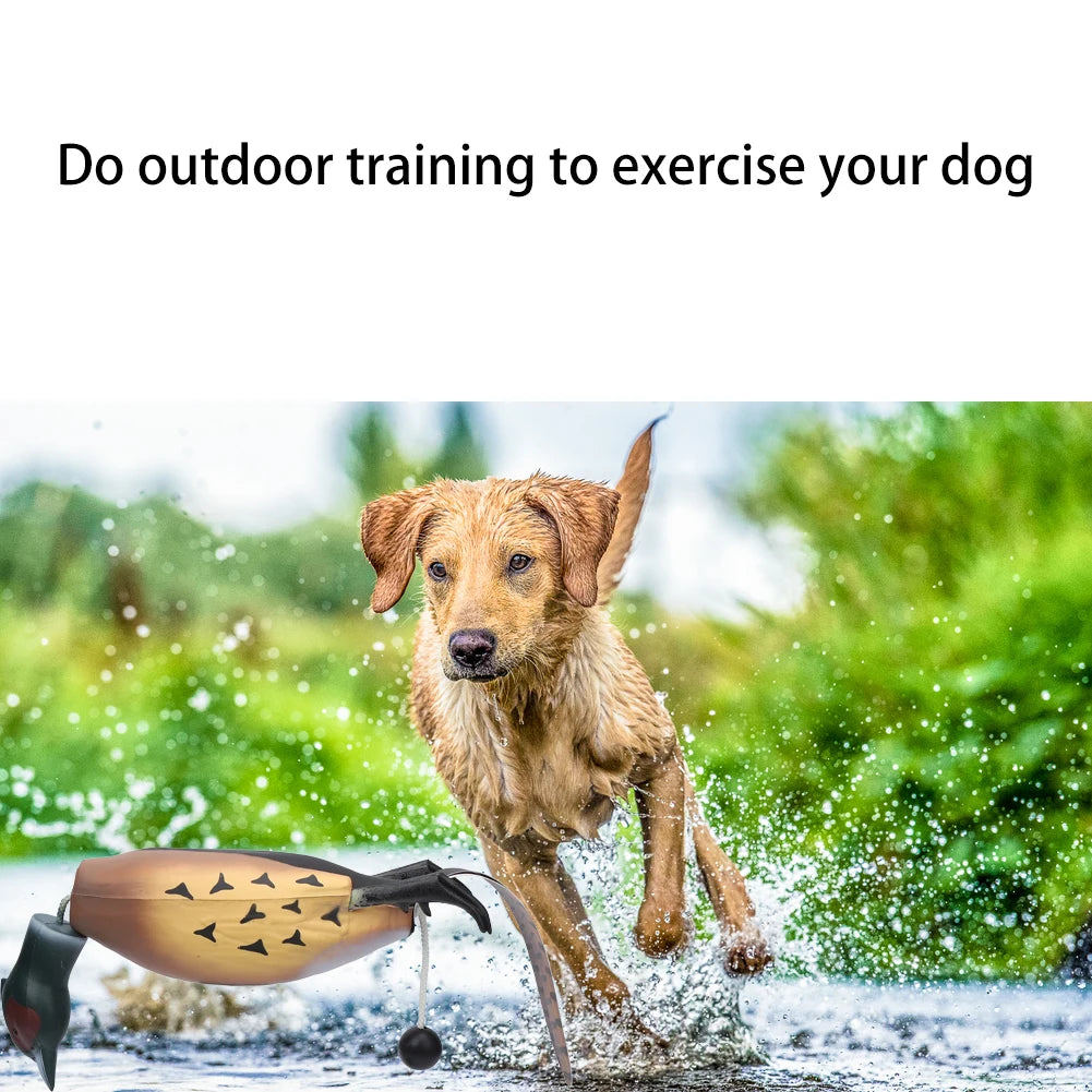 Mulipurpose Pet Dead Fowl Fetch Toy For Training Dogs Outdoor Indoor Imitate Dead Fowl Essential Training Toys For Trainers