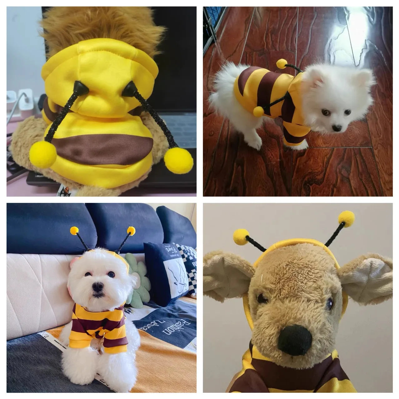 Dog bee modification set Schnauzer Clothes onesie Plush puppy kitten hood Fall/Winter 1 piece