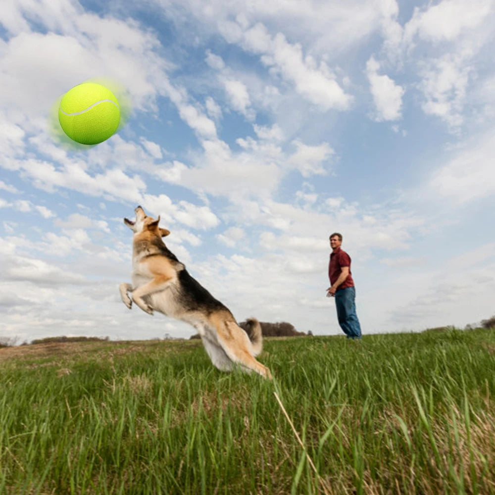 Oversize Giant Tennis Balls Inflatable Tennis Ball with Pump Dog Toy Balls For Signature Children Adult Pets Dogs Cats Fun