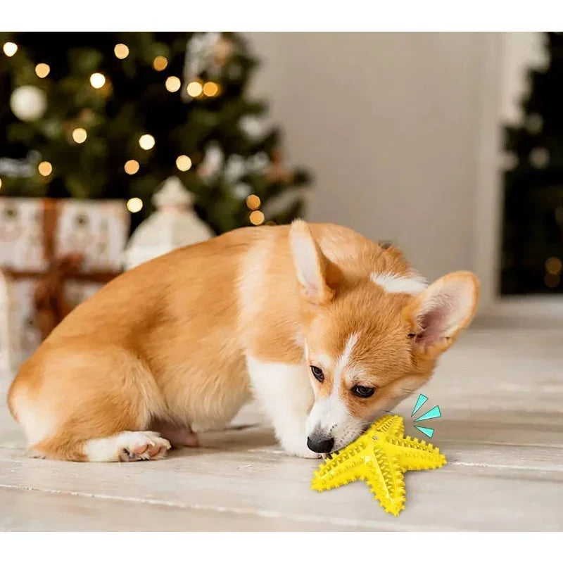 Vocal Starfish Dog Toy Interactive Rubber  For Dog Pet Teeth Oral Cleaning Products Dog Chew Toys Tooth Cleaning Toothbrush