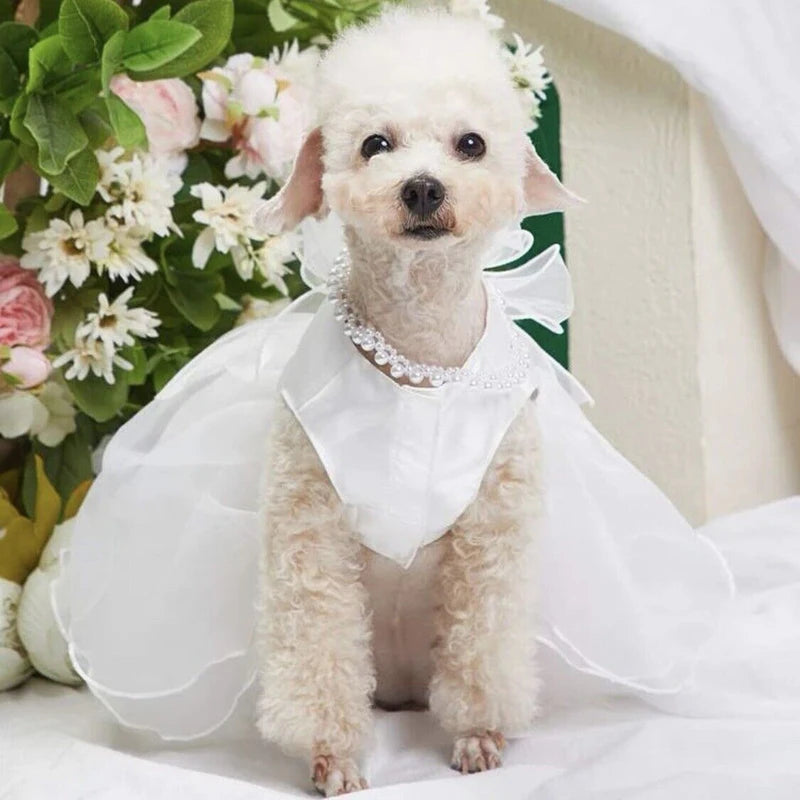 White Dog Wedding Dress Bridal Wedding Costume Puppy Princess Dresses for Small Dogs Luxury Dog Clothes Pomeranian Chihuahua