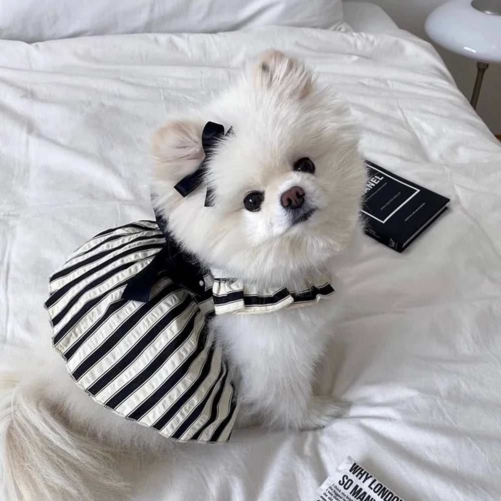 Big Bow Striped Small Dog Princess Dress Black Fashion Medium Cat Dress Thin Summer Puppy Skirt for Dog Clothes