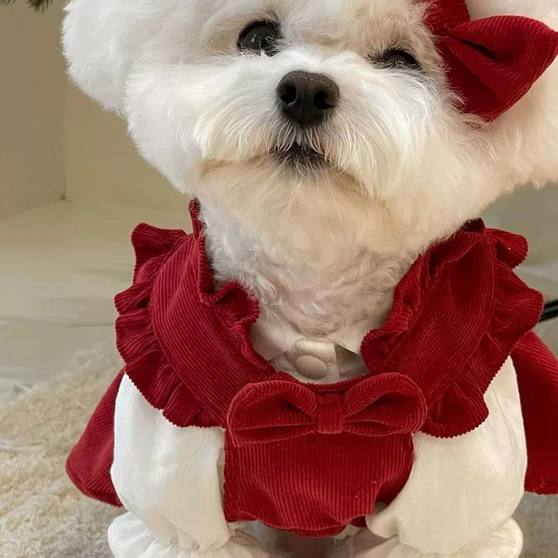Puppy Bow Knot Dress Set Winter Warm Dog Clothes Pet Christmas Princess Dress Teddy Solid Color Skirt Send Clip