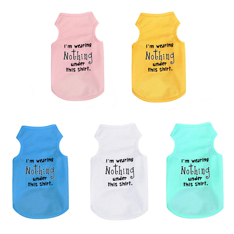 Pet Cooler Vest: Lightweight and breathable summer gear for your dog or cat on hot summer days"