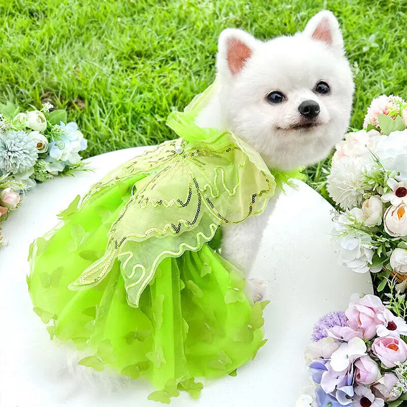 Pet Wedding Princess Butterfly Clothes Dog Dress Cat Skirt Gown Skirt Supplies Princess Dresses for Small Dogs Cat Costume