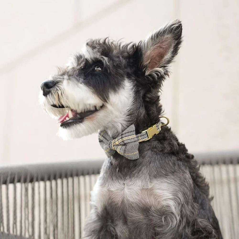 Cute Small Dog Harness Set Adjustable Soft Plaid Pet Collar Leash Bowtie Puppies Walking Parties Comfort Durable Design