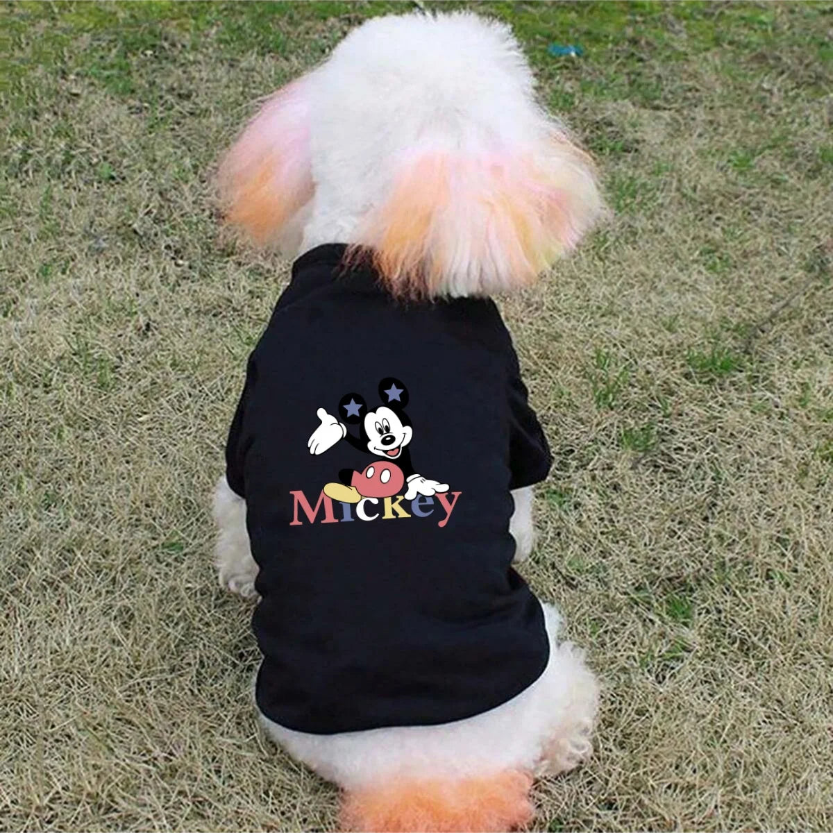 1pc  Mickey print pet short sleeved shirt, soft cat and dog pet short sleeved T-shirt