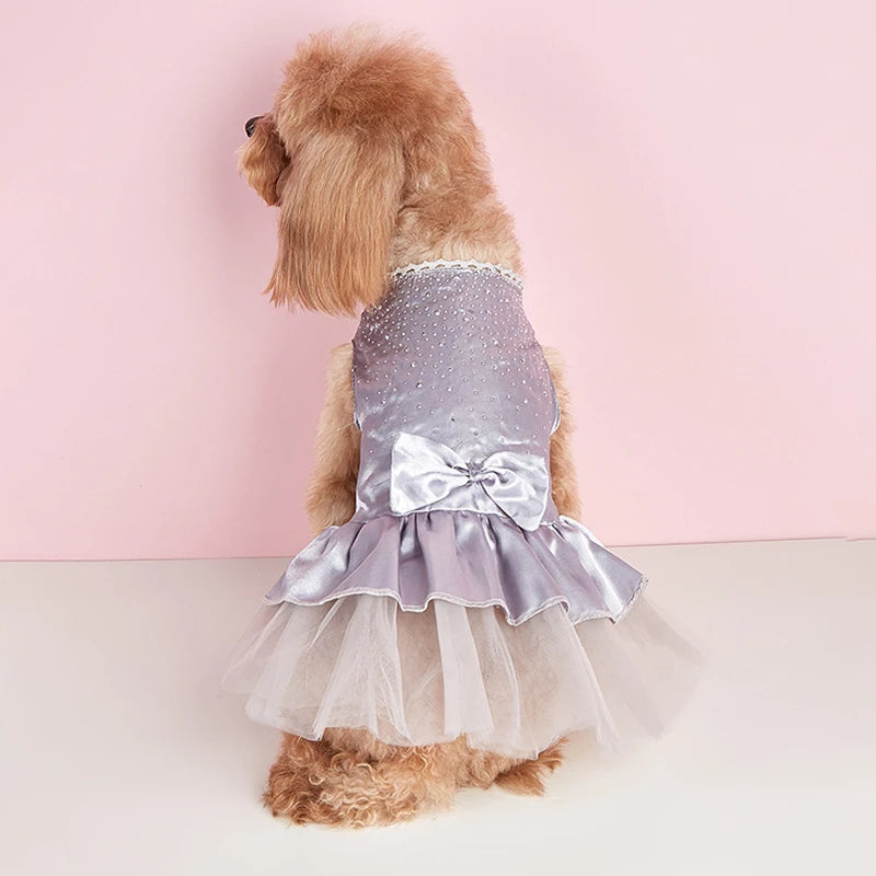 Dog Summer Dress Cat Lace Skirt Pet Clothing Chihuahua Tulle Skirt Puppy Cat Princess Apparel Cute Puppy Clothes Dog Accessories