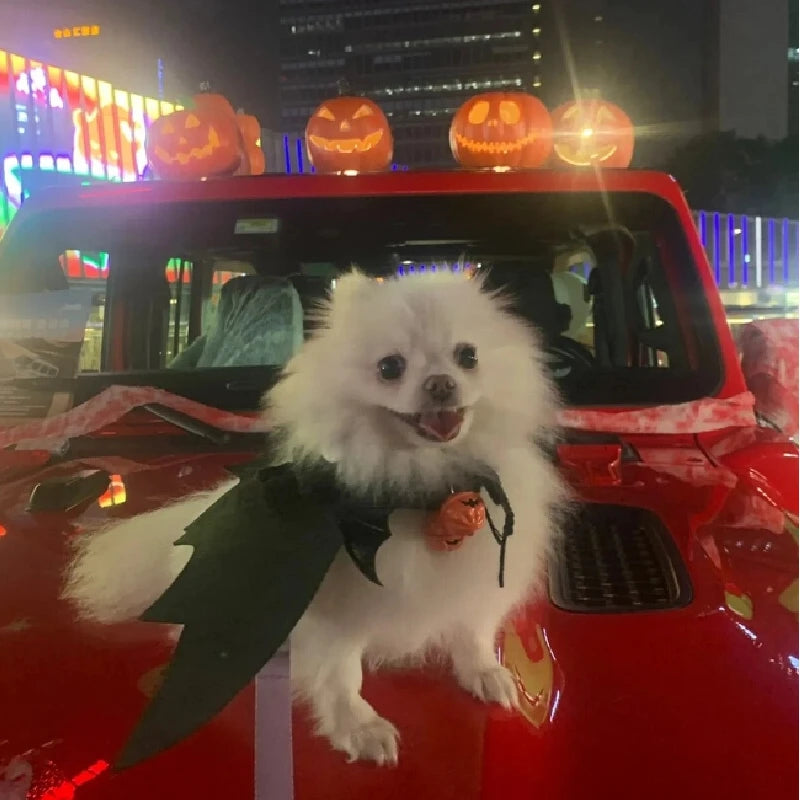 Halloween Pet Costume Bat Wings With Bell, Cute Dog Cat Bat Costume Outfit For Halloween Party, Vampire Devil Puppy Kitten Cloth