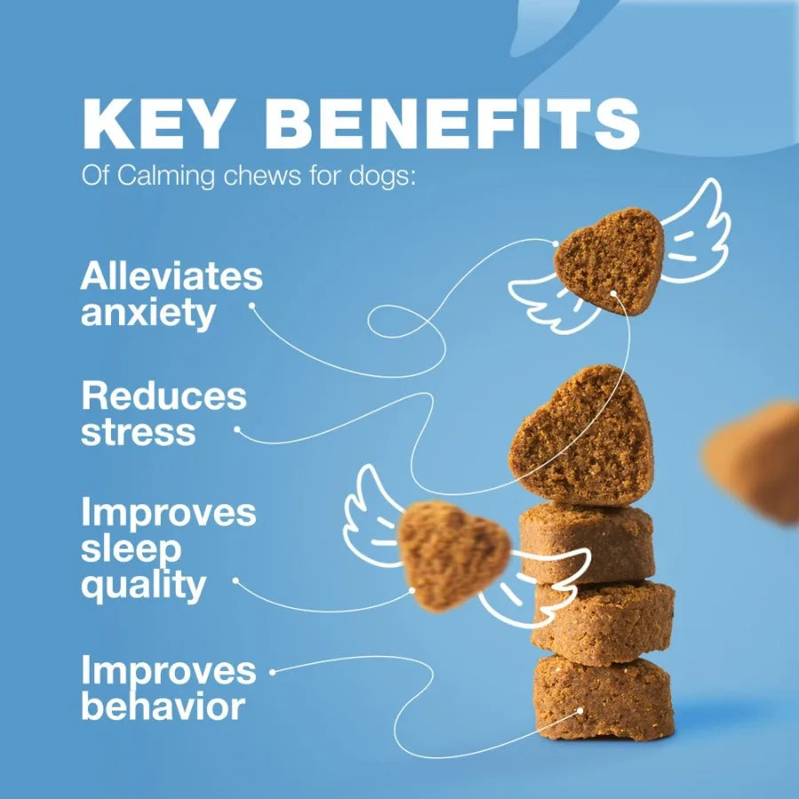 Hemp Calming Chews for Dogs Anxiety Dog Calming Treats with Melatonin Valerian Root Chamomile Extract Vitamin B Complex Canine