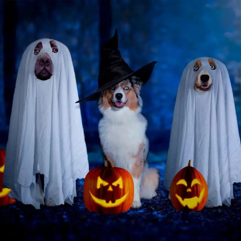 Halloween Ghost Dog Costume Ghost Pet Cloak Spooky Cosplay Costume Soft Breathable Pet Clothes Ghost Pet Decorative Supplies