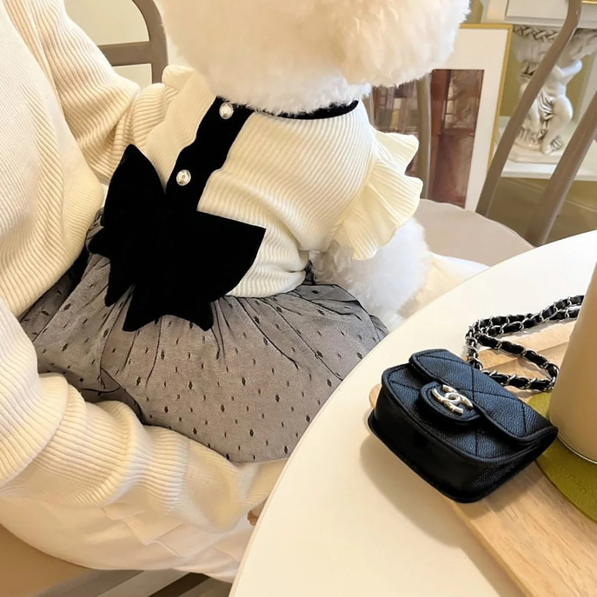 Spring Summer Thin Princess Dog Dress for Small Dog Clothes Bowknot Dog Vest Black & White Cat Clothes Cat Skirt  Soft Pet Cloth