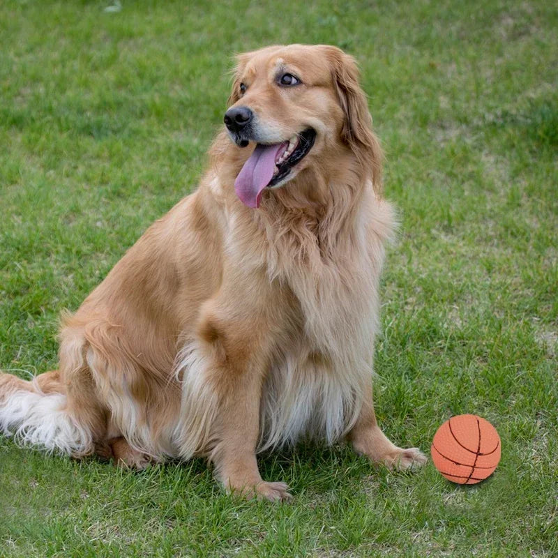 Professional Rubber Pet Dog Basketball Pet Dog Toy Squeaky Ball High Quality Pet Dog Cat Interactive Training Tools