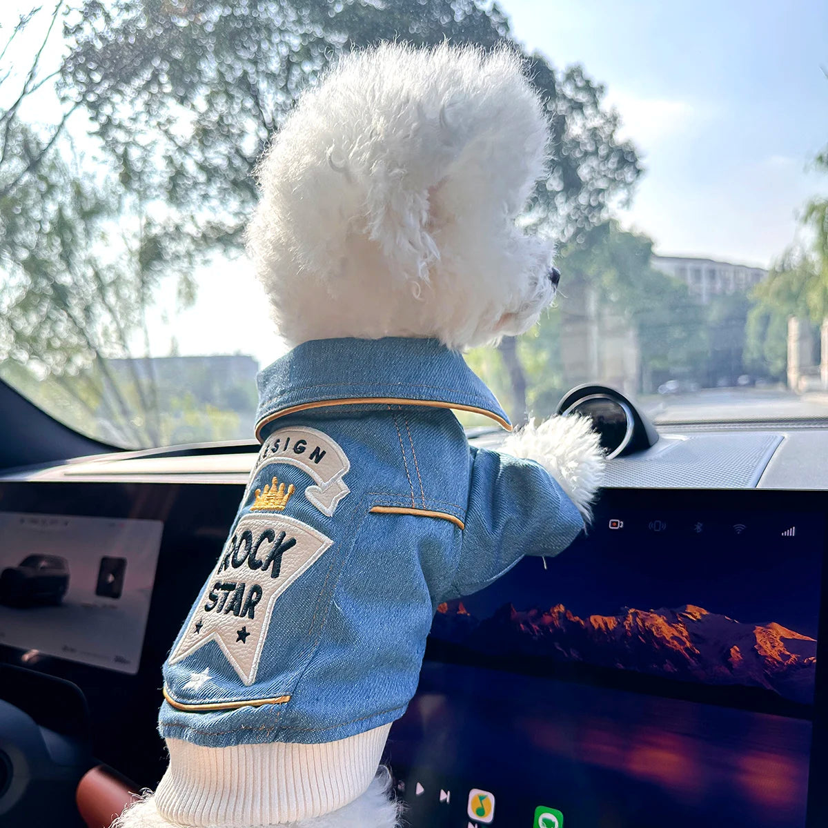 Rock Embroidery Blue Jacket Pet Clothes Dog Cat Spring Handsome Out Traction Clothes