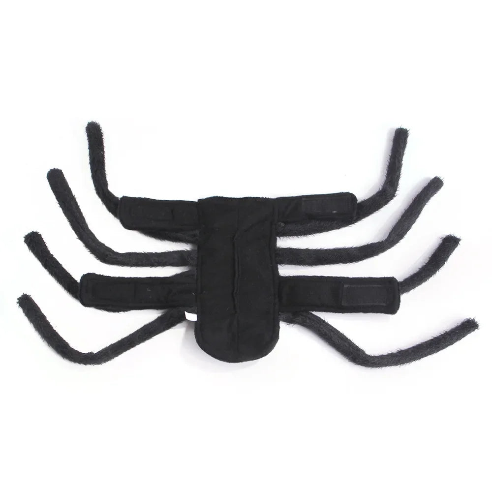 Pet Halloween Fun Spider Chest Back Cat Small and Medium Dog Festival Creative Transformation Costume Puppy Role Playing Costume