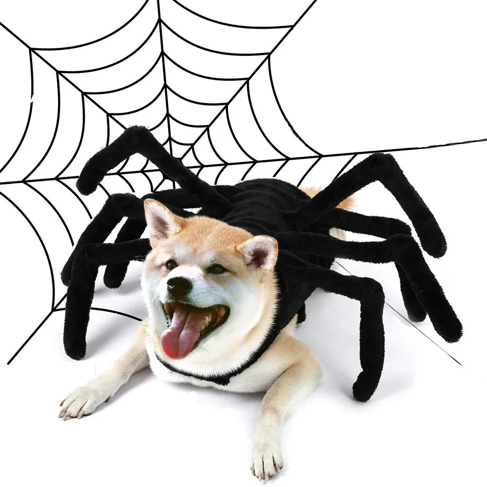 Pet Halloween Fun Spider Chest Back Cat Small and Medium Dog Festival Creative Transformation Costume Puppy Role Playing Costume