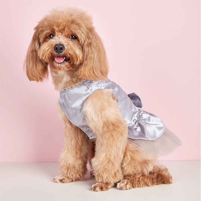 Dog Summer Dress Cat Lace Skirt Pet Clothing Chihuahua Tulle Skirt Puppy Cat Princess Apparel Cute Puppy Clothes Dog Accessories