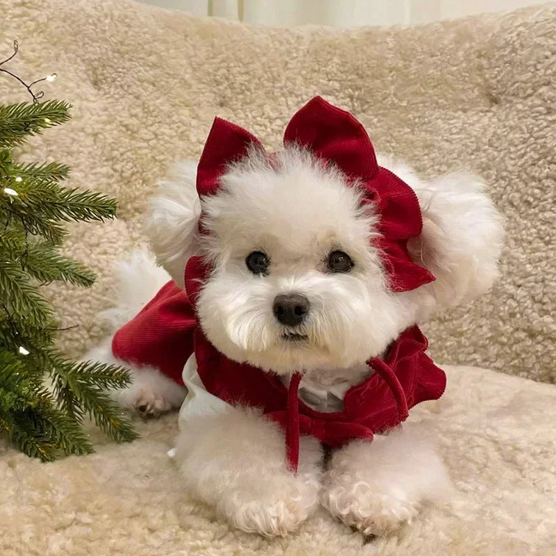 Puppy Bow Knot Dress Set Winter Warm Dog Clothes Pet Christmas Princess Dress Teddy Solid Color Skirt Send Clip