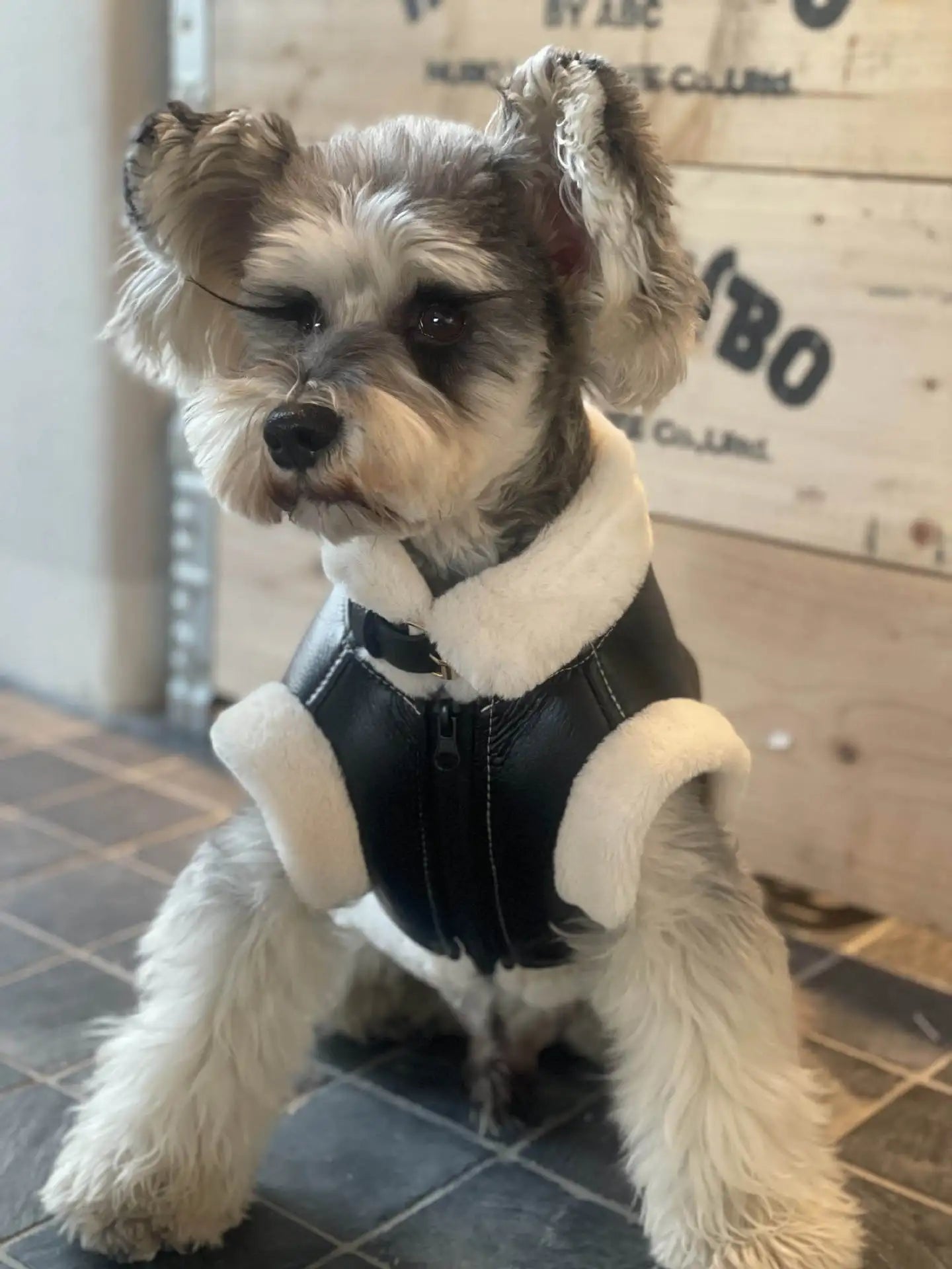 Pet Autumn Winter Velvet Sleeveless Vest Fur One-piece Coat Teddy Schnauzer Bichon Dog Thick VestPuppy Clothes for Small Dogs