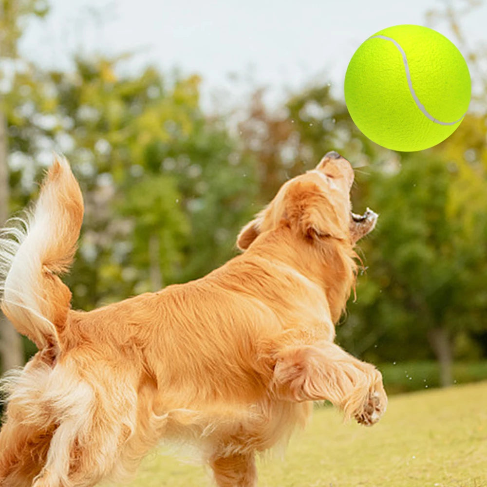 Oversize Giant Tennis Balls Inflatable Tennis Ball with Pump Dog Toy Balls For Signature Children Adult Pets Dogs Cats Fun