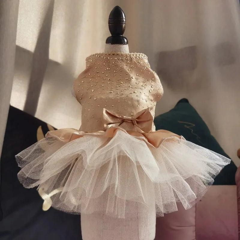 Dog Summer Dress Cat Lace Skirt Pet Clothing Chihuahua Tulle Skirt Puppy Cat Princess Apparel Cute Puppy Clothes Dog Accessories