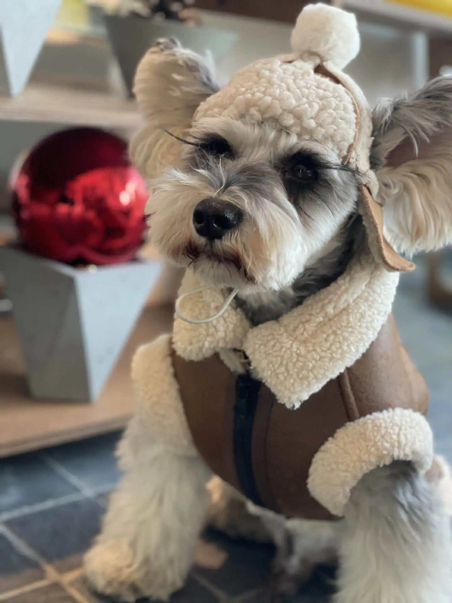 Pet Autumn Winter Velvet Sleeveless Vest Fur One-piece Coat Teddy Schnauzer Bichon Dog Thick VestPuppy Clothes for Small Dogs