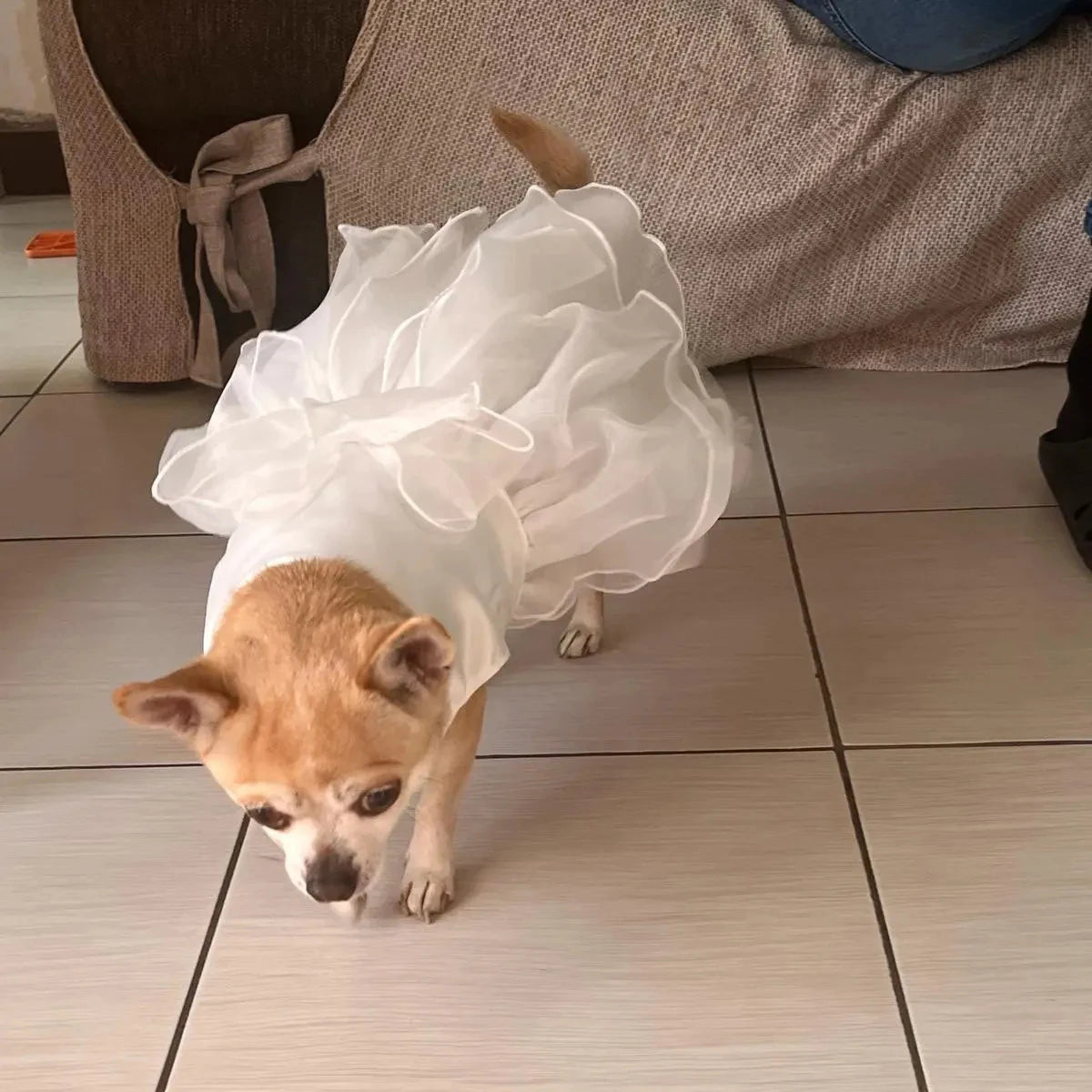 White Dog Wedding Dress Bridal Wedding Costume Puppy Princess Dresses for Small Dogs Luxury Dog Clothes Pomeranian Chihuahua